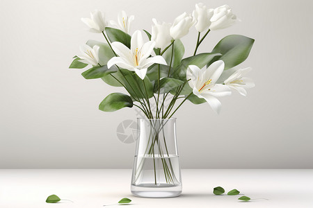 花瓶中的白色百合花高清图片