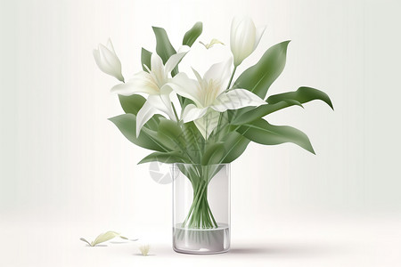 白色百合花一束白色百合花高清图片