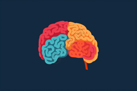 大脑额叶不同色块的大脑插画