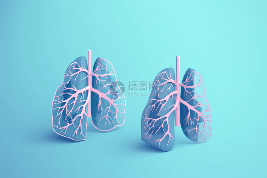 有树状支气管的肺部图片