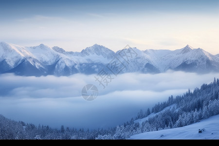 山上美丽的雪景图片图片