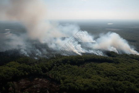 冒着浓烟的森林大火高清图片