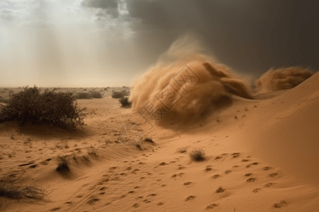 沙漠小草尘土飞扬的沙漠背景
