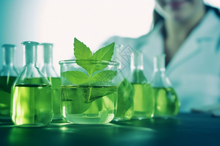 在实验室中提取的绿色草药设计图片