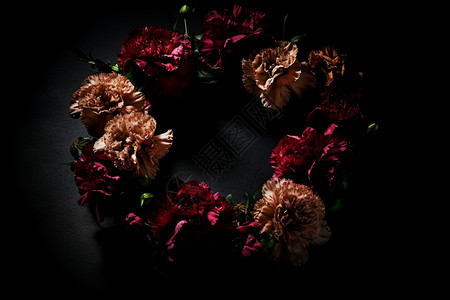 黑色背景中的康乃馨花环背景