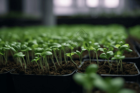 植物蛋白收获技术高清图片