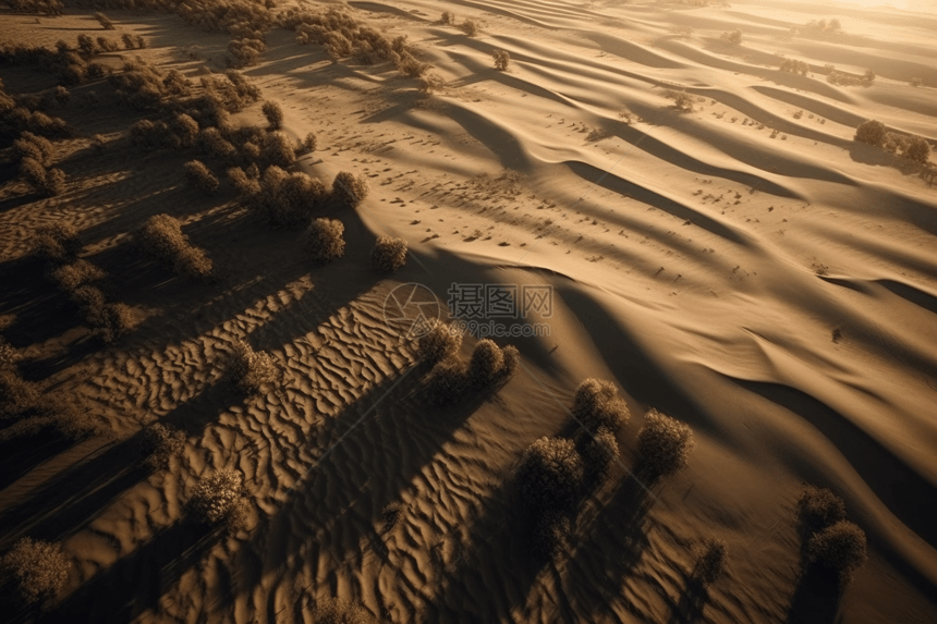 干旱时期的沙漠景观图片