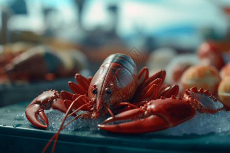 海鲜市场龙虾高清图片