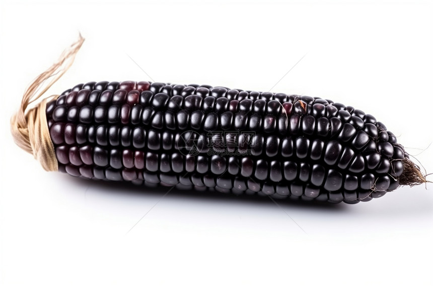 黑玉米图片