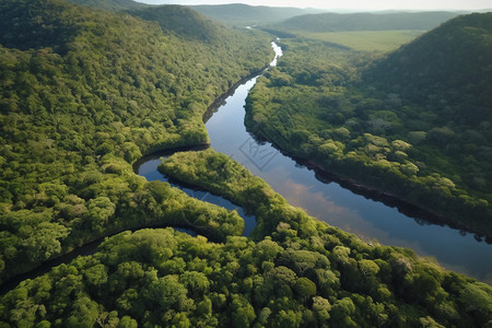 雨林河流航拍长河高清图片