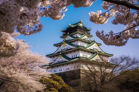 樱花环绕的大阪城高清图片