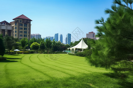 城市中绿地草坪图片