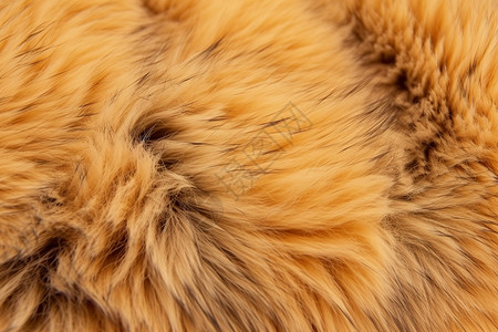 棕色衣服动物皮毛纹理细节图片设计图片