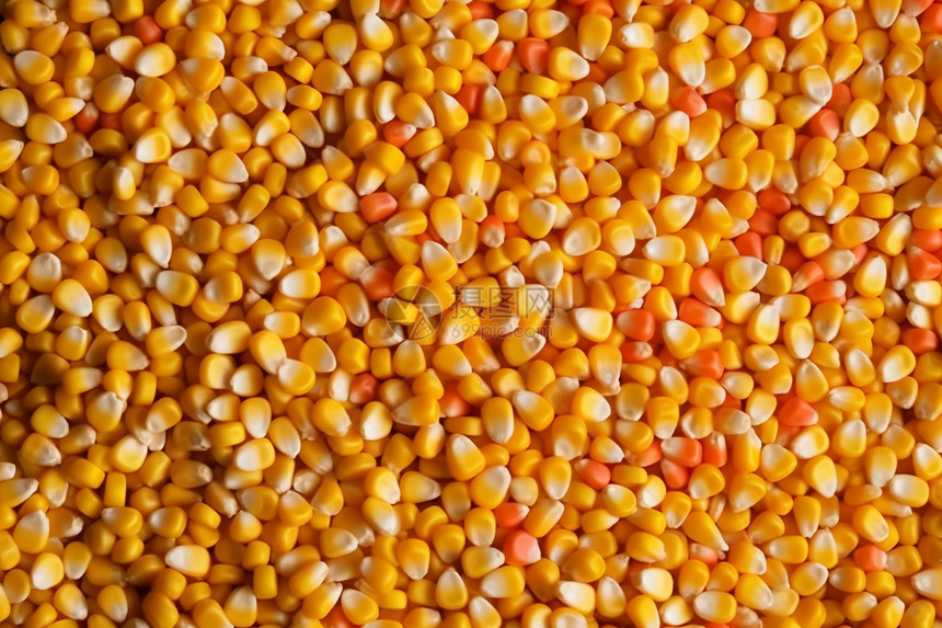 玉米粒排列背景图片图片