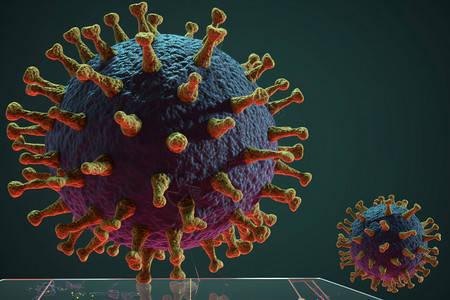 病毒细胞模型图片