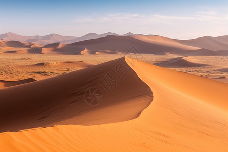 金色的沙漠沙子纳米布高清图片
