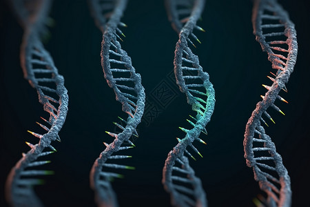 DNA螺旋结构图片