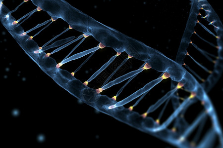 DNA基因概念图片