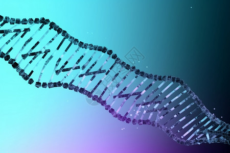 恐怖大蜘蛛3d动画医学科学背景设计图片