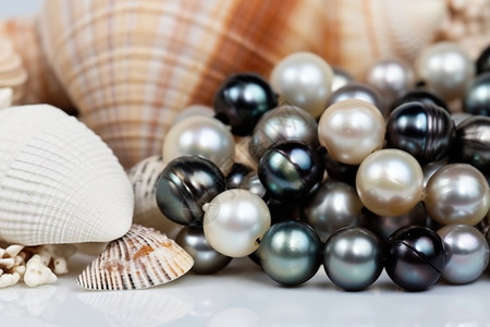 大白贝壳和黑珍珠高清图片