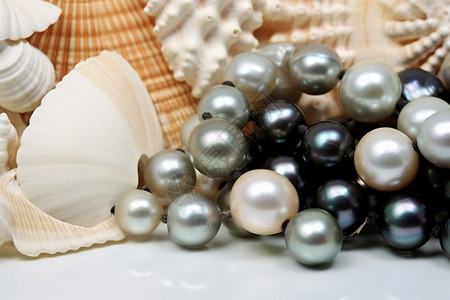 黑珍珠的背景背景图片
