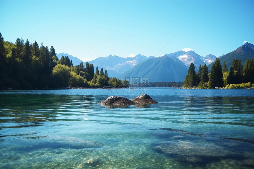 美丽的湖景图片