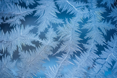 窗户上的雪花冰晶图片