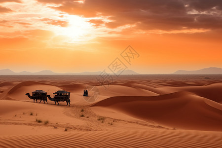 骆驼带着游客在沙漠中穿梭图片