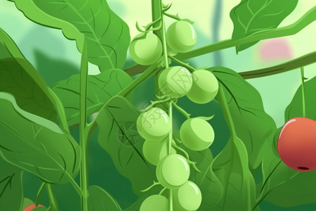 蔬菜绿田地里的绿豌豆插画