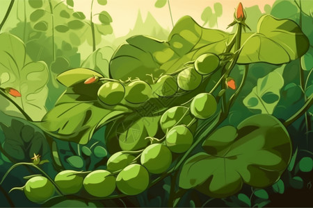 豌豆芽农田中的绿豌豆插画