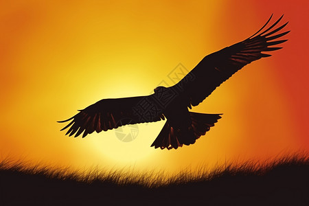 雄鹰在日落时分的剪影图片