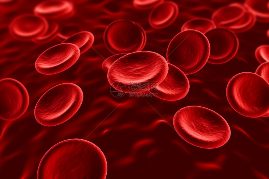 血液红细胞图片