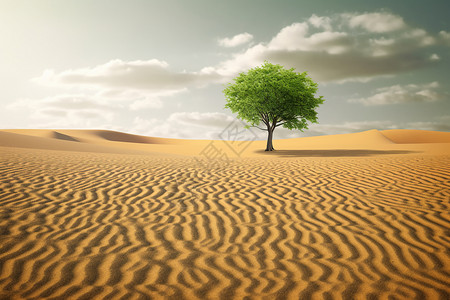 沙漠中的绿色孤胆的树在沙漠中设计图片