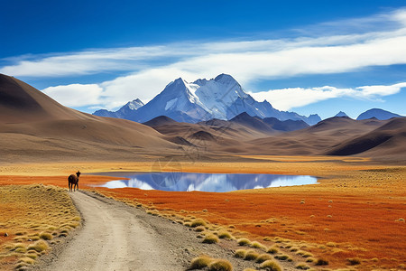 高远山脉的自然风景背景图片