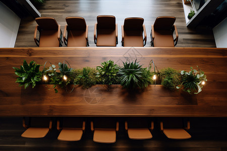 办公桌上的绿植木制长桌上的绿植背景