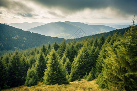 绿山蓝天山脉和森林背景