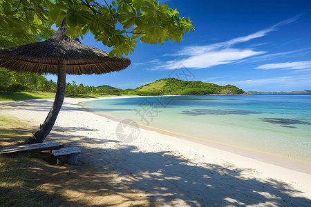 斐济美丽的热带沙滩背景