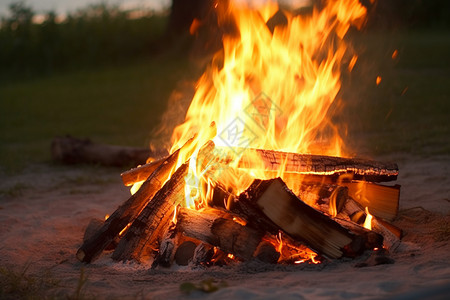 室外夜晚取暖的篝火堆图片
