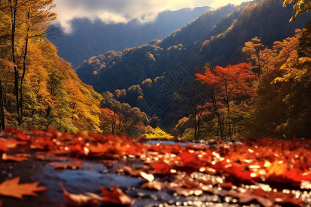 秋天山景河面上的红枫叶背景