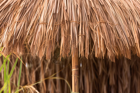 干草棚屋顶建筑干稻草高清图片