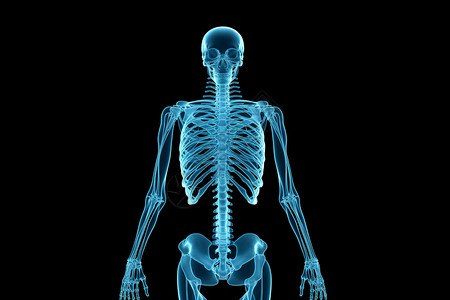 射线人体骨骼背景图片