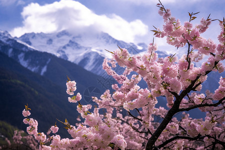 西藏雪山风景背景图片