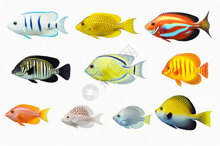 海底生物热带鱼插画