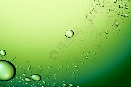枸杞泡水抽象油泡水绿色背景设计图片