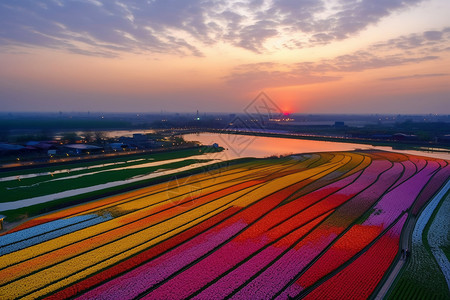 多彩农田种植风景图片