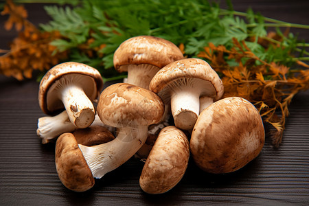 秋天的香菇背景图片