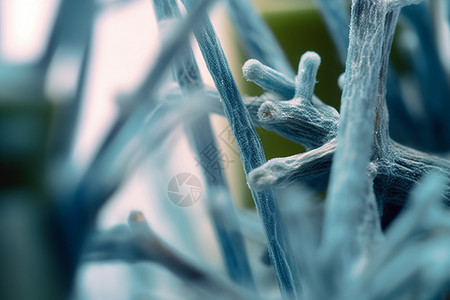 光学显微镜显微镜放大的微生物设计图片