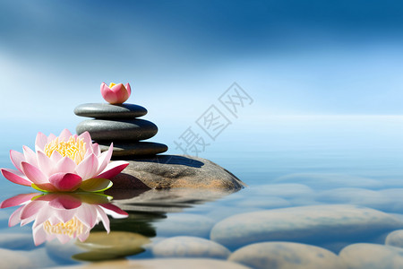 水边的石子佛教海莲花高清图片