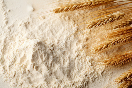 小麦面粉健康主食高清图片