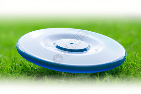 塑料草草地上的圆形飞盘设计图片